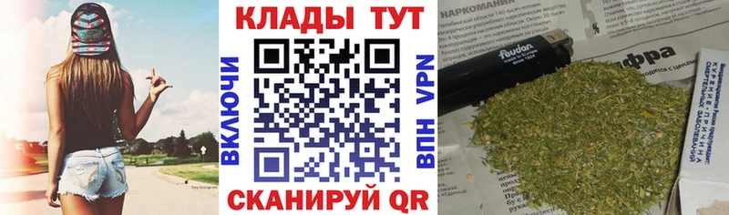 Какие есть наркотики Новосибирск Cocaine  Бошки Шишки  Меф мяу мяу  ГАШ 