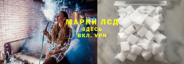 прущие грибы Нея