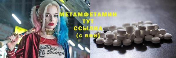 прущие грибы Нея
