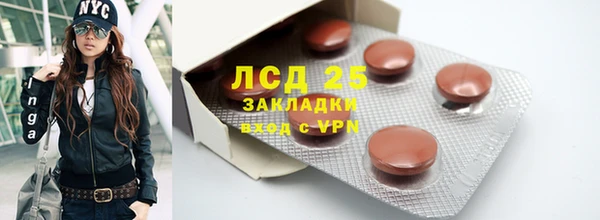 прущие грибы Нея