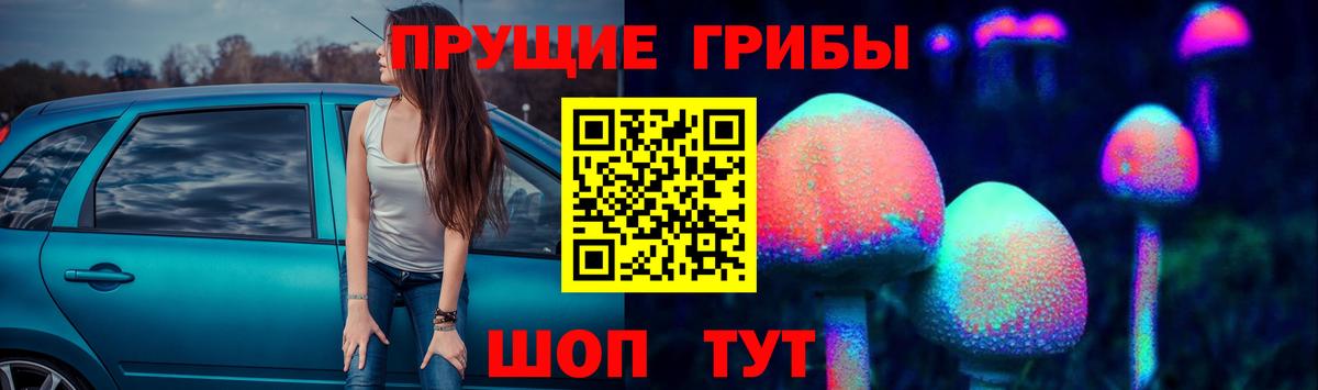 Галлюциногенные грибы Magic Shrooms  Вход с VPN  Новосибирск  Галлюциногенные грибы Psilocybe 
